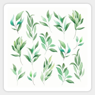 Eucalyptus watercolor Greenery Leaves Pattern Sticker